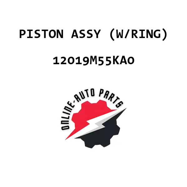 PISTON ASSY (W/RING)