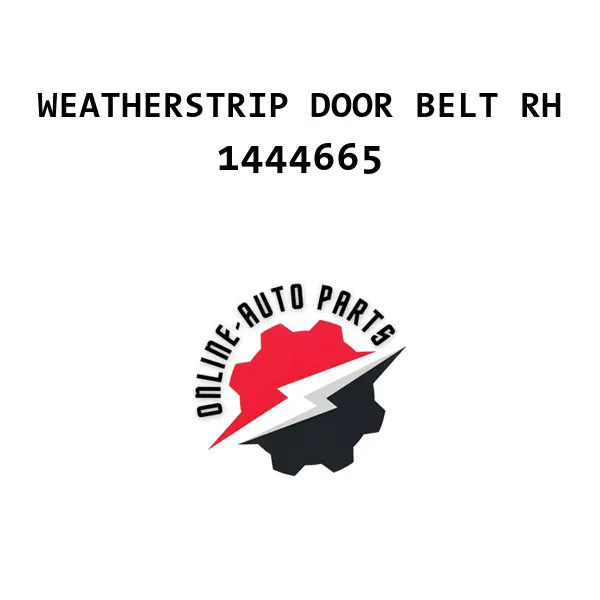 WEATHERSTRIP DOOR BELT RH