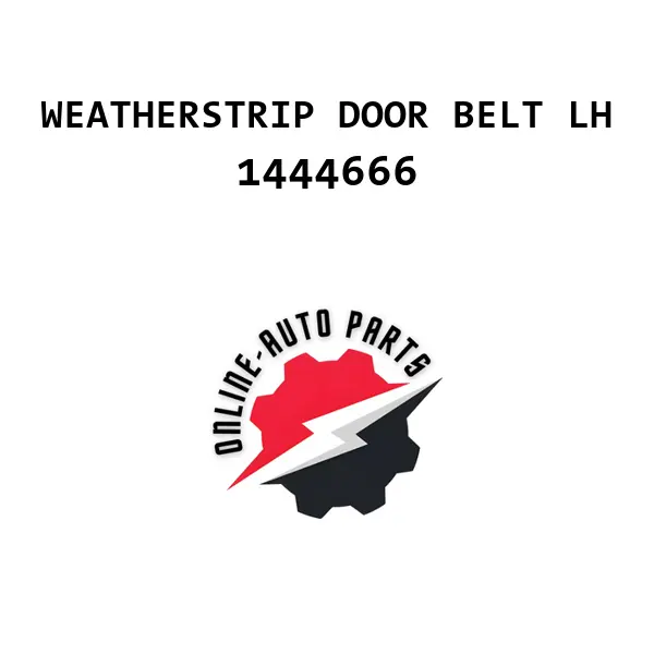 WEATHERSTRIP DOOR BELT LH