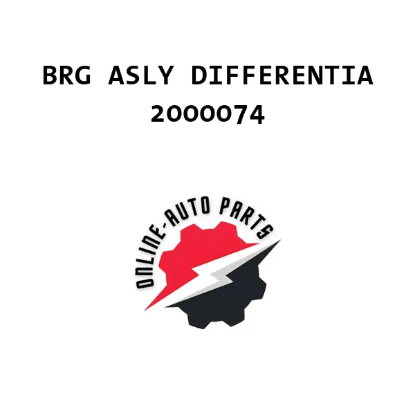 BRG ASLY DIFFERENTIA - 2000074 - Ford