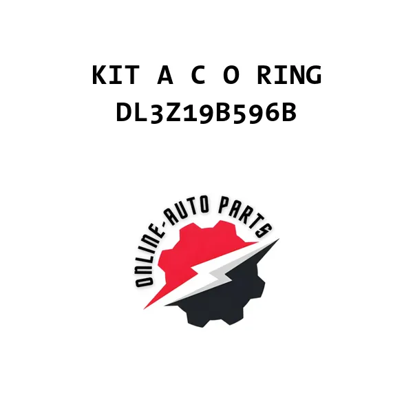 KIT A C O RING - DL3Z19B596B - Ford